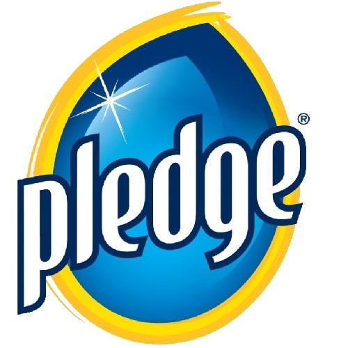 Pledge