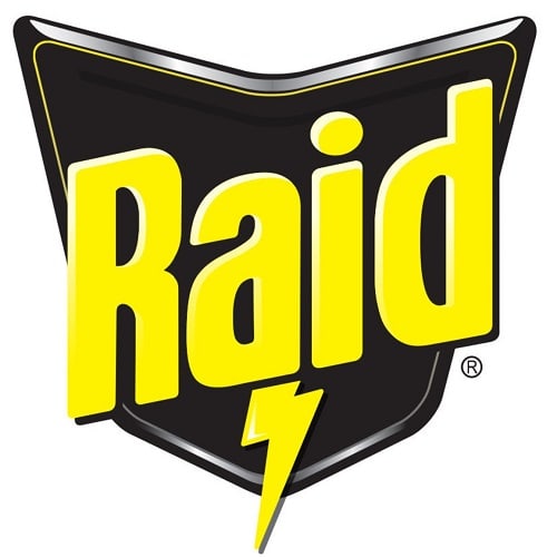 Raid